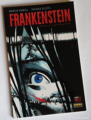 Stock image for Frankenstein for sale by LiLi - La Libert des Livres