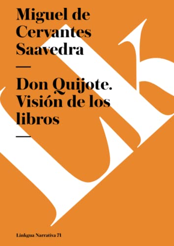 9788498160222: Don Quijote: Visin de los libros