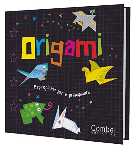 9788498254136: Origami