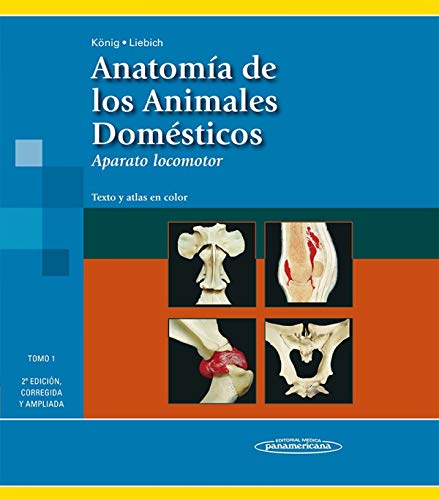 Stock image for ANATOMA DE LOS ANIMALES DOMSTICOS T1 for sale by Librerias Prometeo y Proteo