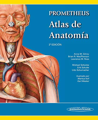 Beispielbild fr PROMETHEUS. ATLAS DE ANATOMA zum Verkauf von Zilis Select Books