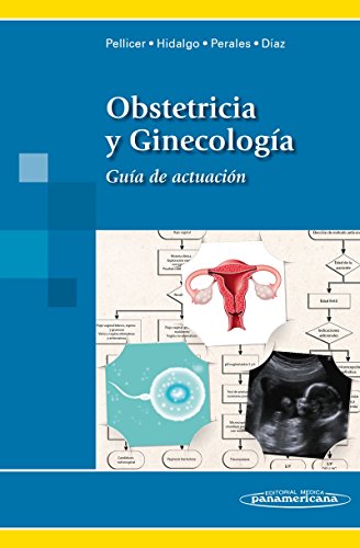 Beispielbild fr Obstetricia y Ginecologa. : Gua de Actuacin zum Verkauf von medimops
