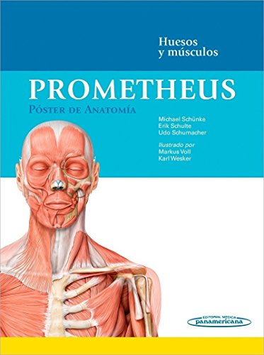 PROMETHEUS LernPoster der Anatomie, Knochen und Muskeln, 9783132444263