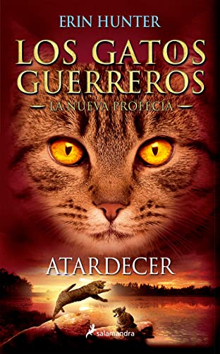 9788498387858: Atardecer / Sunset (GATOS GUERREROS / WARRIORS) (Spanish Edition)