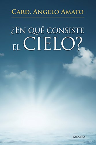 Stock image for En Que Consiste el Cielo for sale by Hamelyn