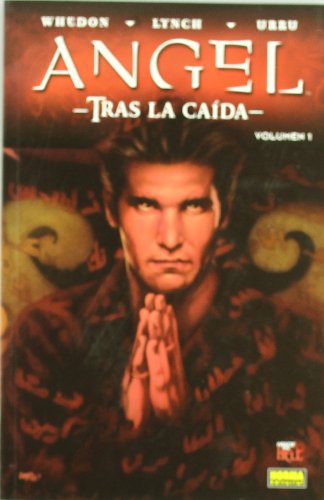 Stock image for Mih 77 - angel : tras la caida vol.1 for sale by Iridium_Books