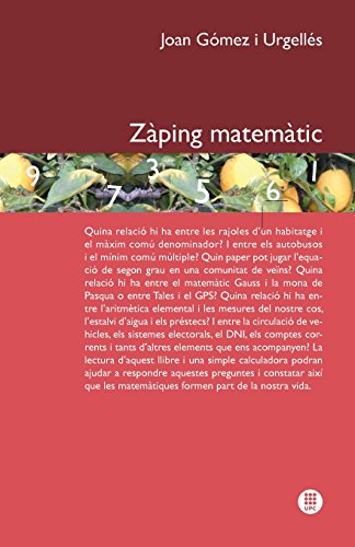 Imagen de archivo de Zaping Matematic a la venta por Chiron Media