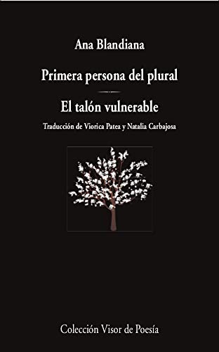 Stock image for PRIMERA PERSONA DEL PLURAL / EL TALN VULNERABLE. for sale by KALAMO LIBROS, S.L.