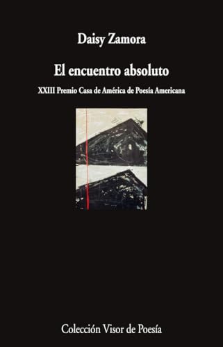 Stock image for EL ENCUENTRO ABSOLUTO for sale by KALAMO LIBROS, S.L.