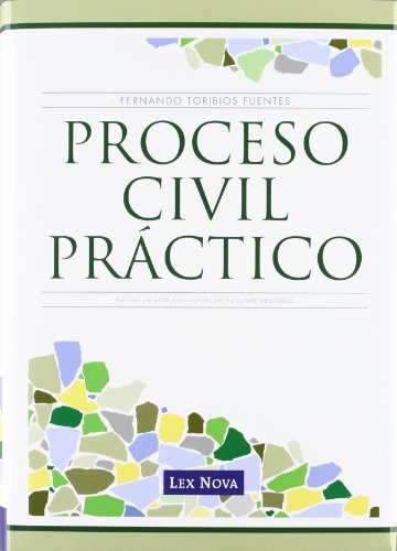 9788498984101: Proceso civil prctico