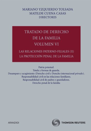 Stock image for Tratado de Derecho de la Familia (Volumen VI) - Las relaciones paterno for sale by Iridium_Books