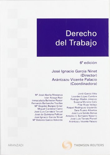 9788499038315: Derecho del Trabajo