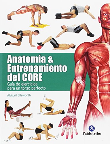 Stock image for ANATOMA & ENTRENAMIENTO DEL CORE: Gua de ejercicios para un torso perfecto for sale by KALAMO LIBROS, S.L.