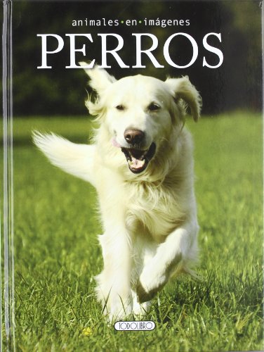 Beispielbild fr Perros (Animales en imágenes) (Spanish Edition) zum Verkauf von HPB-Diamond