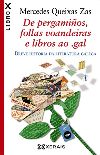Stock image for DE PERGAMIOS, FOLLAS VOANDEIRAS E LIBROS AO .GAL. BREVE HISTORIA DA LITERATURA GALEGA for sale by KALAMO LIBROS, S.L.