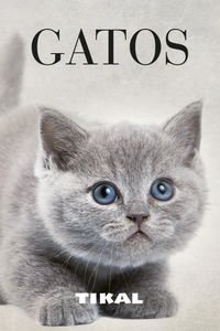 Gatos Fotolibros - Vv.Aa.