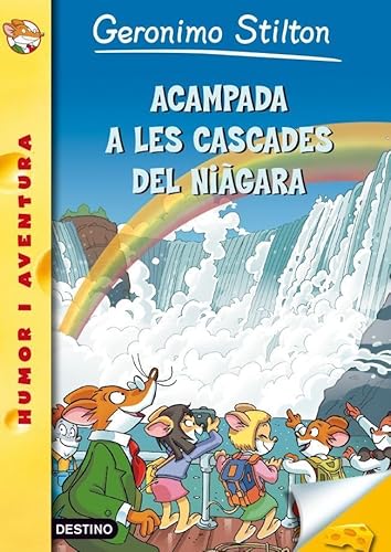 Acampada a les cascades del Niàgara