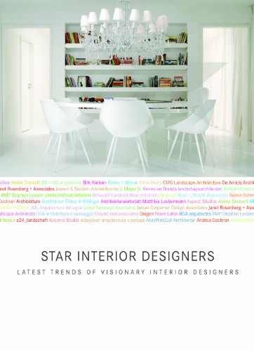 Imagen de archivo de Star Interior Designers: Contemporary Icons of Interior Design and Decoration a la venta por HPB-Red