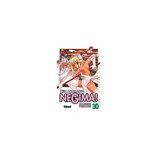 Negima! 30: Magister Negi Magi (Shonen Manga) (Spanish Edition) (9788499470863) by Akamatsu, Ken