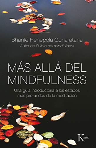 Imagen de archivo de Ms all del mindfulness: Una gua introductoria a los estados ms profundos de la meditacin a la venta por medimops