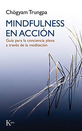 9788499884899: Mindfulness en accin: Gua para la conciencia plena a travs de la meditacin (Spanish Edition)