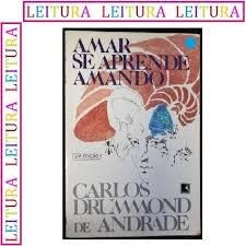 9788501025142: Amar Se Aprende Amando (Em Portuguese do Brasil)