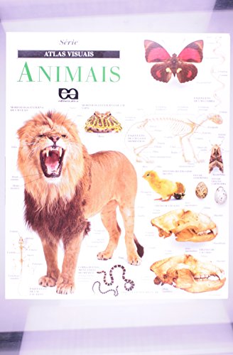 Stock image for Animais (Em Portuguese do Brasil) for sale by HPB-Ruby
