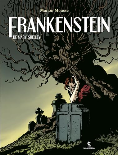 Beispielbild fr livro frankenstein em quadrinhos shelley mary 2012 zum Verkauf von LibreriaElcosteo