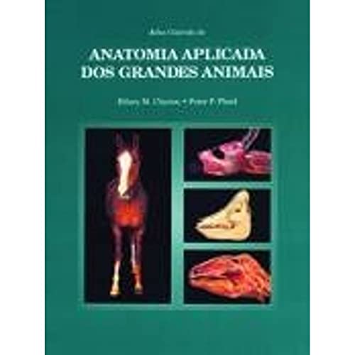 Imagen de archivo de livro anatomia aplicada dos grandes animais hilary m clayton 1997 a la venta por LibreriaElcosteo