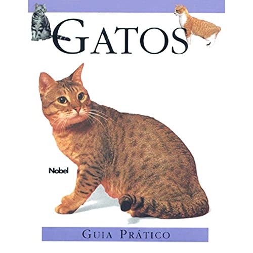 Stock image for livro gatos guia pratico cavinato maria lucia 1998 for sale by LibreriaElcosteo