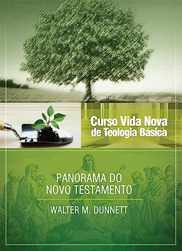 Stock image for Curso Vida Nova de Teologia Basica: Panorama do Novo Testamento - Vol.3 for sale by More Than Words