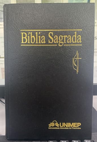 Imagen de archivo de A Biblia Sagrada: Antigo E O Novo Testamento a la venta por HPB-Emerald