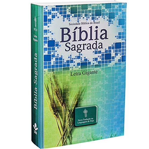 9788531110498: Santa Bblia Letra Grande / Large Print (Portuguese Edition)