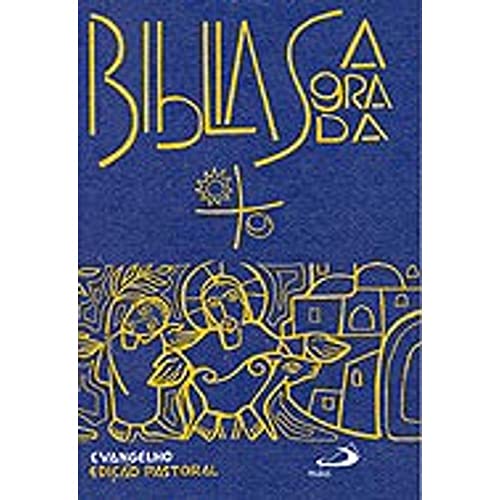 Stock image for livro biblia sagrada for sale by LibreriaElcosteo