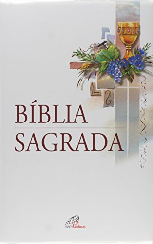 Stock image for Biblia Sagrada - Ntlh - Palavra Viva - Eucaristia for sale by medimops