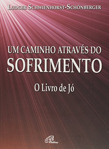 Stock image for livro um caminho atraves do sofrimento o livro de jo ludger schwienhorst schonberger 2011 for sale by LibreriaElcosteo