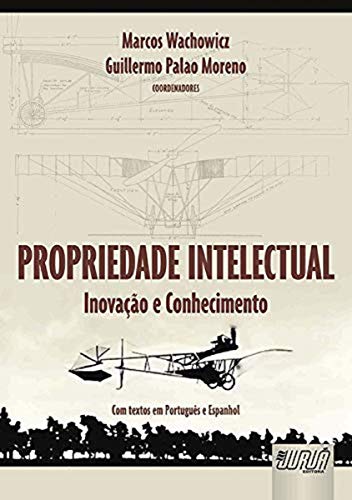 Stock image for Propriedade Intelectual. Inovao e Conhecimento for sale by medimops