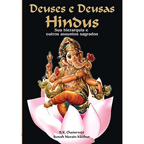 Beispielbild fr deuses e deusas hinous de bk chaturvebi suresh narain m Ed. 2008 zum Verkauf von LibreriaElcosteo