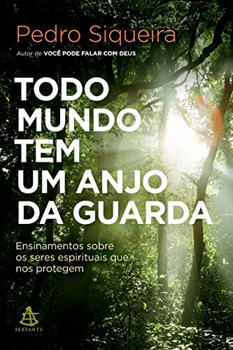 Beispielbild fr Todo mundo tem um anjo da guarda (Portuguese Edition) zum Verkauf von SecondSale