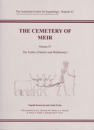 Beispielbild fr The Cemetery of Meir. Volume IV Format: Paperback zum Verkauf von INDOO