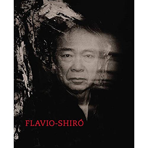 Stock image for livro flavio shiro for sale by LibreriaElcosteo