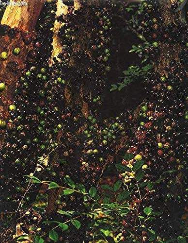 Imagen de archivo de Frutas Brasil frutas (Portuguese Edition) a la venta por M & M Books