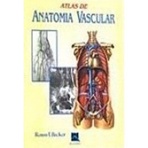 Stock image for Atlas de Anatomia Vascular for sale by Luckymatrix