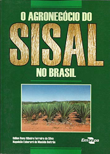 Beispielbild fr A Matematica Positivista E Sua Difusao No Brasil zum Verkauf von Prior Books Ltd