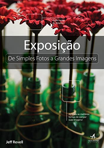 Imagen de archivo de livro exposico de simples fotos a grandes imagens jeff revell 2012 a la venta por LibreriaElcosteo