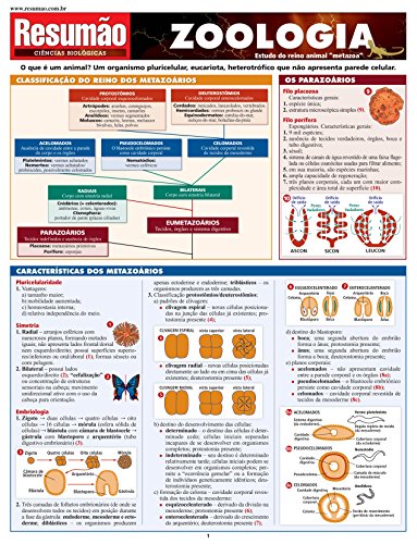 Imagen de archivo de resumo cincias zoologicas 1 zoologia a la venta por LibreriaElcosteo