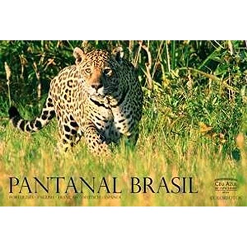 Beispielbild fr Pantanal Brasil zum Verkauf von Robinson Street Books, IOBA