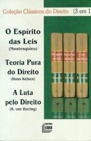 Imagen de archivo de livro do espirito das leis teoria pura a luta pelo direi Ed. 2021 a la venta por LibreriaElcosteo