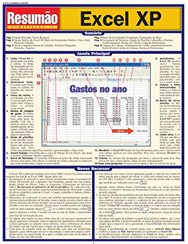 Imagen de archivo de resumo excel xp darryl arnold a la venta por LibreriaElcosteo