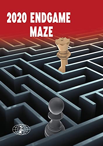 Beispielbild fr 2020 Endgame Maze zum Verkauf von Glynn's Books